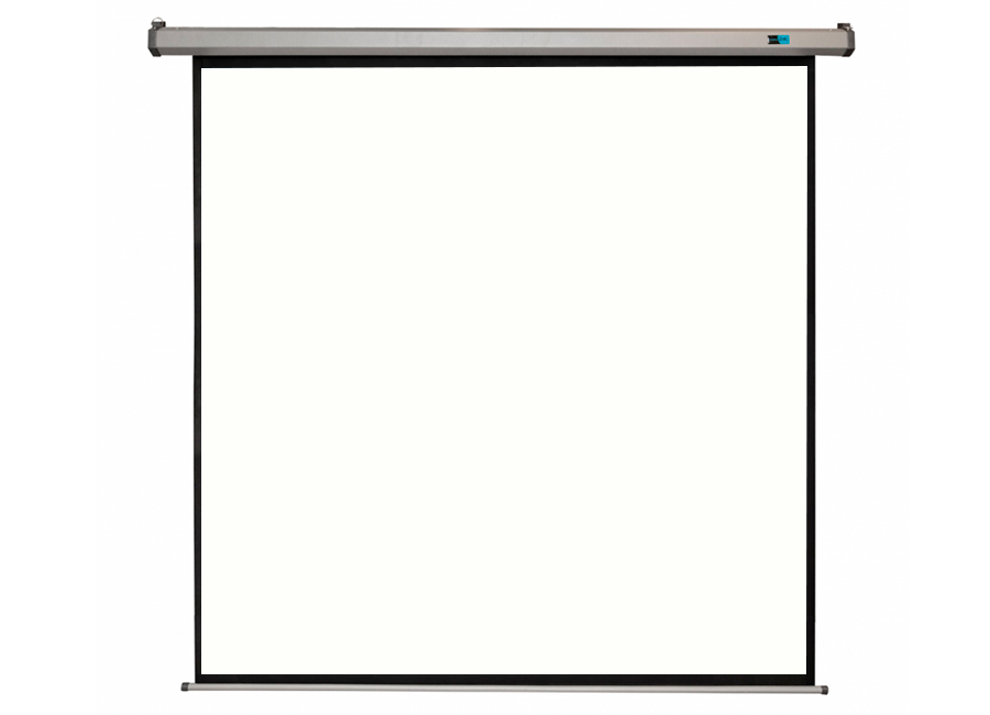   Sakura Cinema Motoscreen FG Pro 139" 250x250  ( )