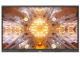   EXELLTECH EXELL EXID-752C-RU (i5), 75" UHD, OPS, WiFi, Bluetooth