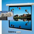   Draper Salara NTSC (3:4) 213/84" 127x169 MW